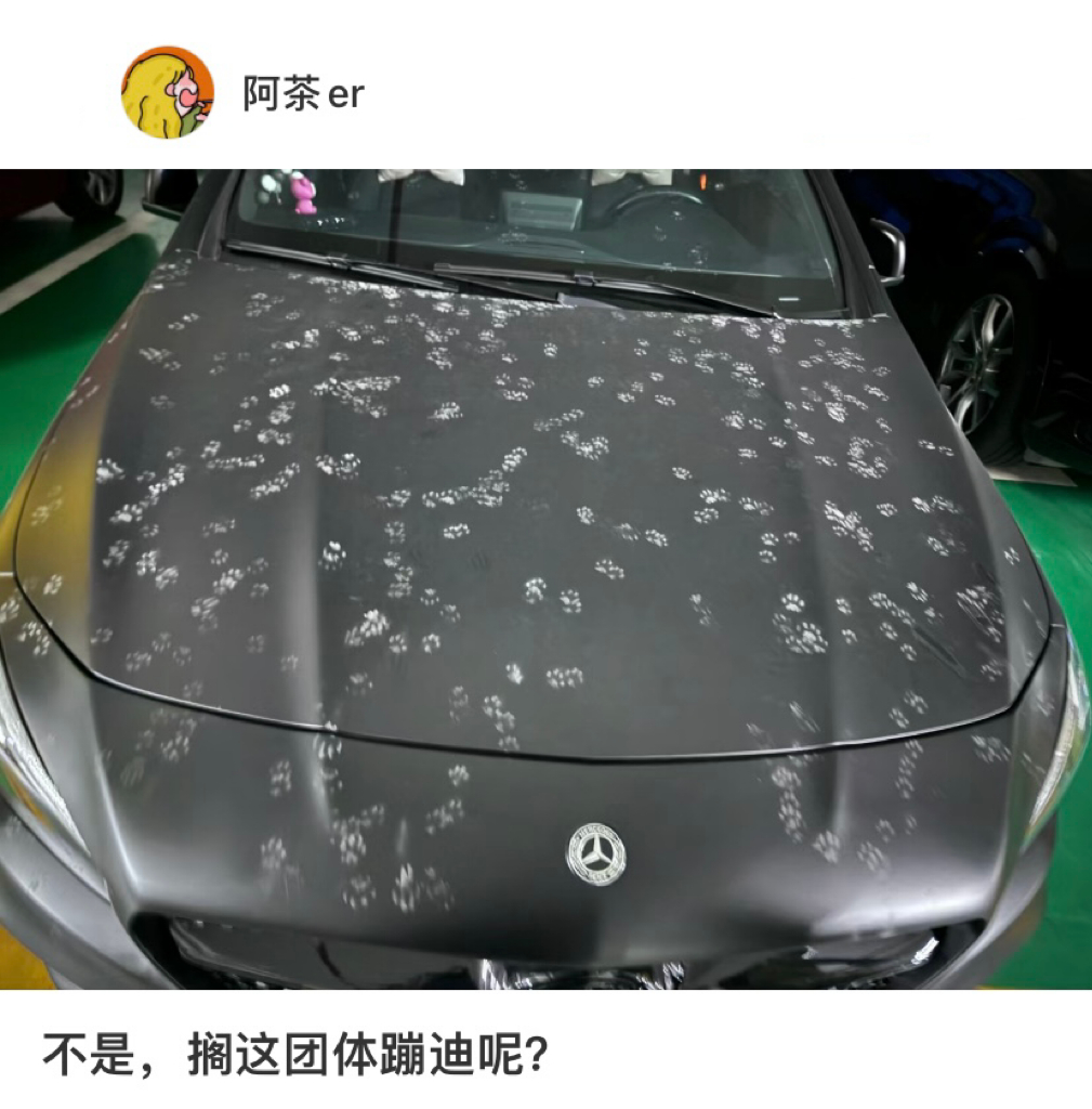 猫猫队大型开party现场 ​​​
