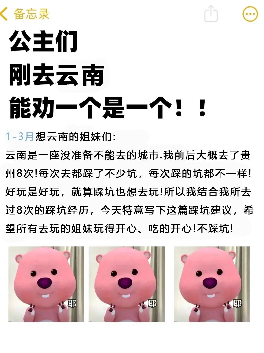 1-3月来云南旅游的姐妹注意！要看的一份攻略
