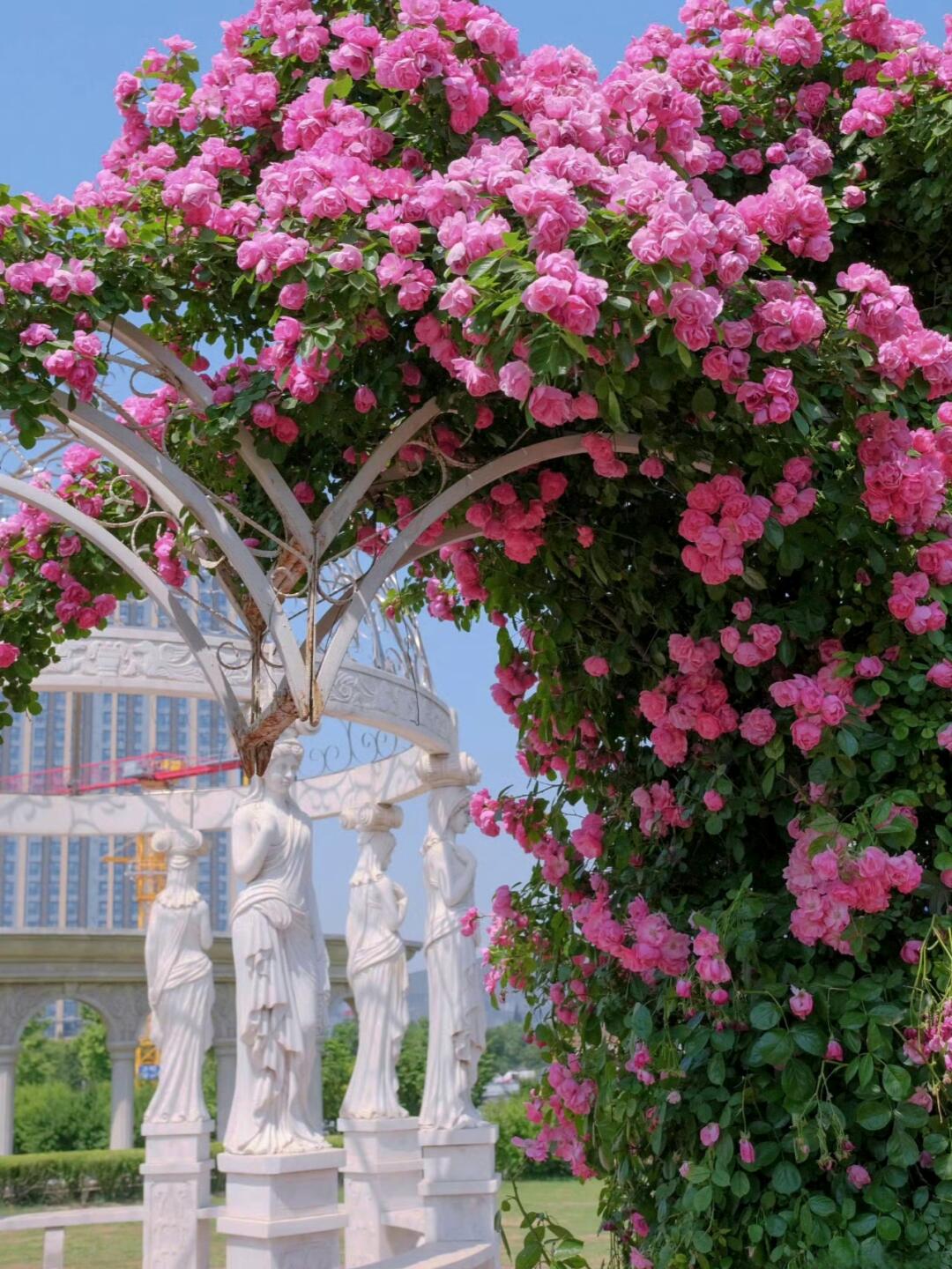 人生建议！西安春天一定要去的20个地方。🌸当春风吹过古城墙 🌸花的...