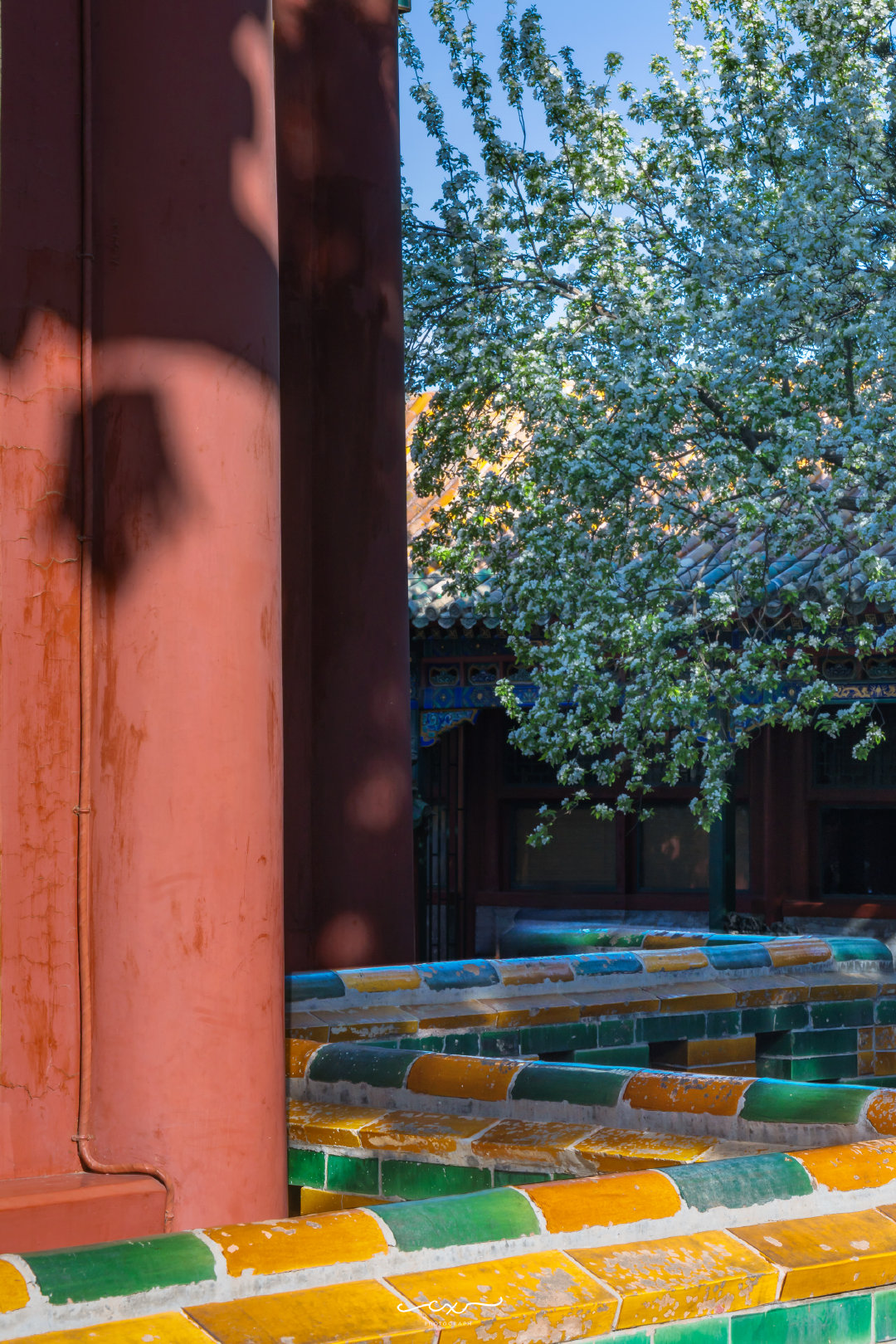 四月限定，团城三白。📍北海公园 • 团城📸 2026-04-06摄影