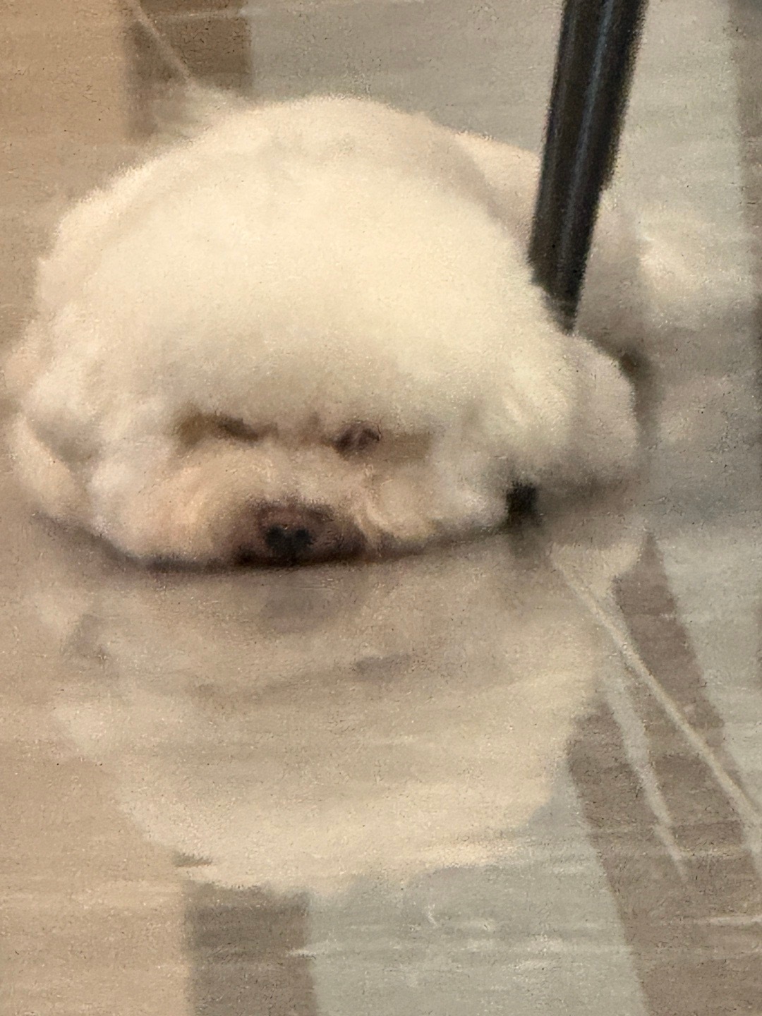 存点kuku ​​​