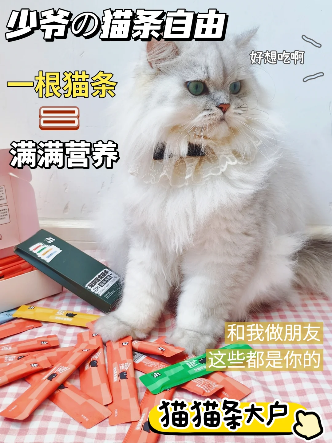 猫猫我吖 也有七夕礼物咯