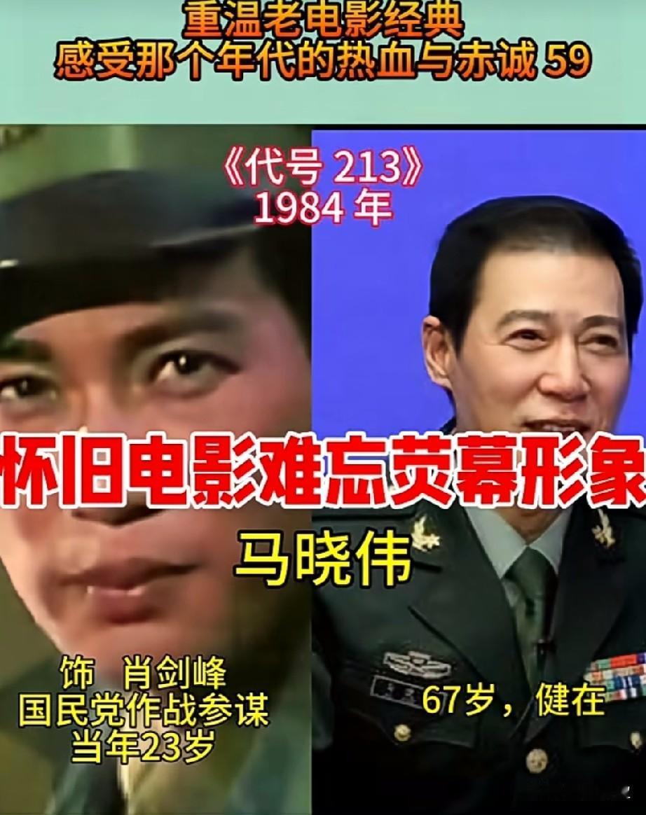 重温老电影84版《代号213》
感受那个年代的热血与赤诚
你看过吗？你认出几位老