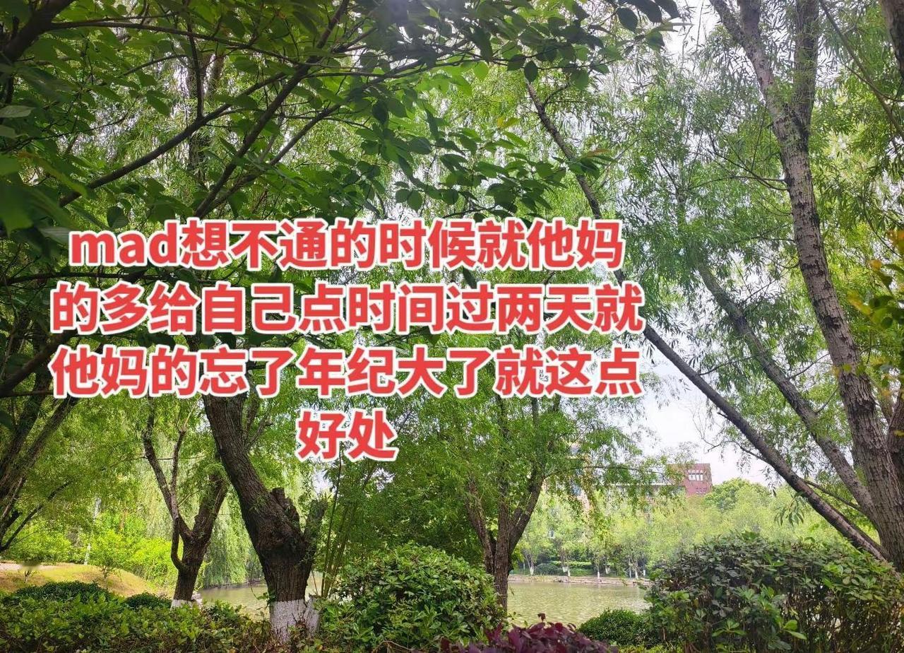 岁月静好 年纪越大越喜欢简单的人和事 春 牛马 出差