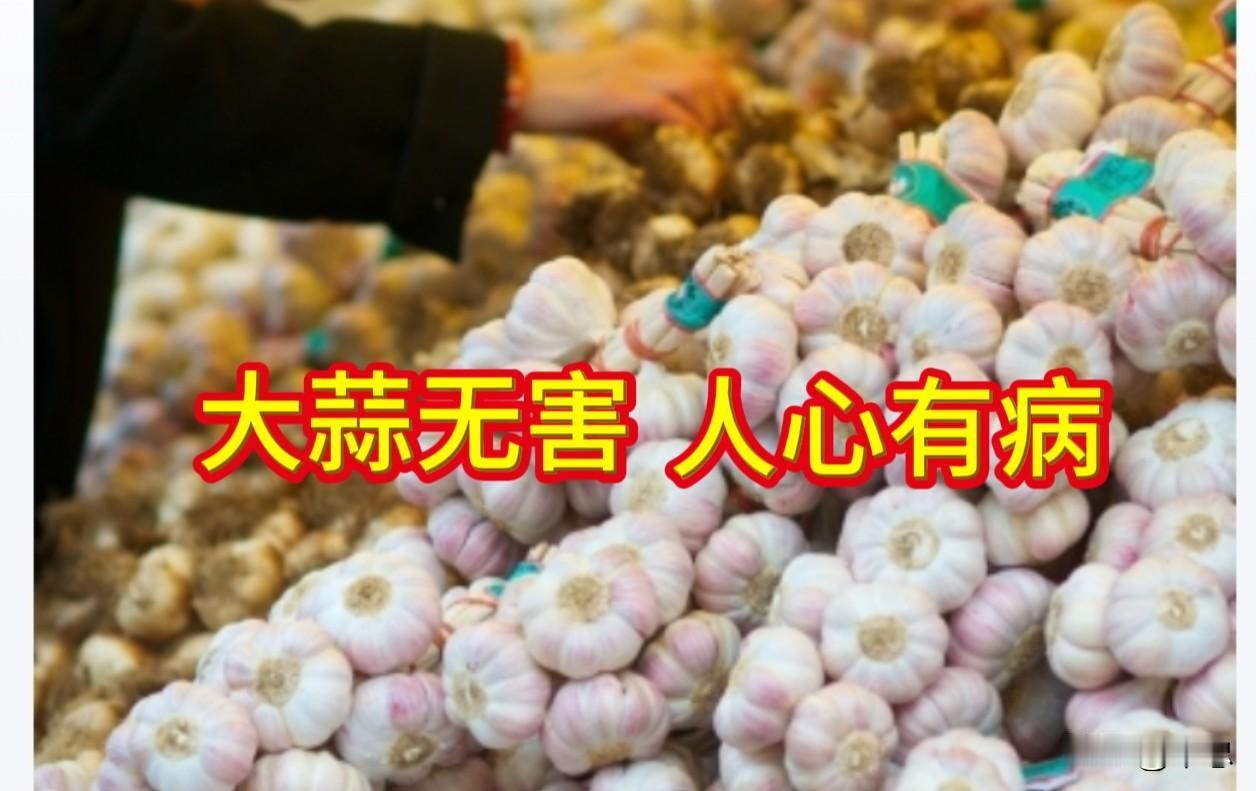 美国为何害怕中国大蒜？
美国参议员里克·斯科特竟将中国大蒜列为“国家安全威胁”，