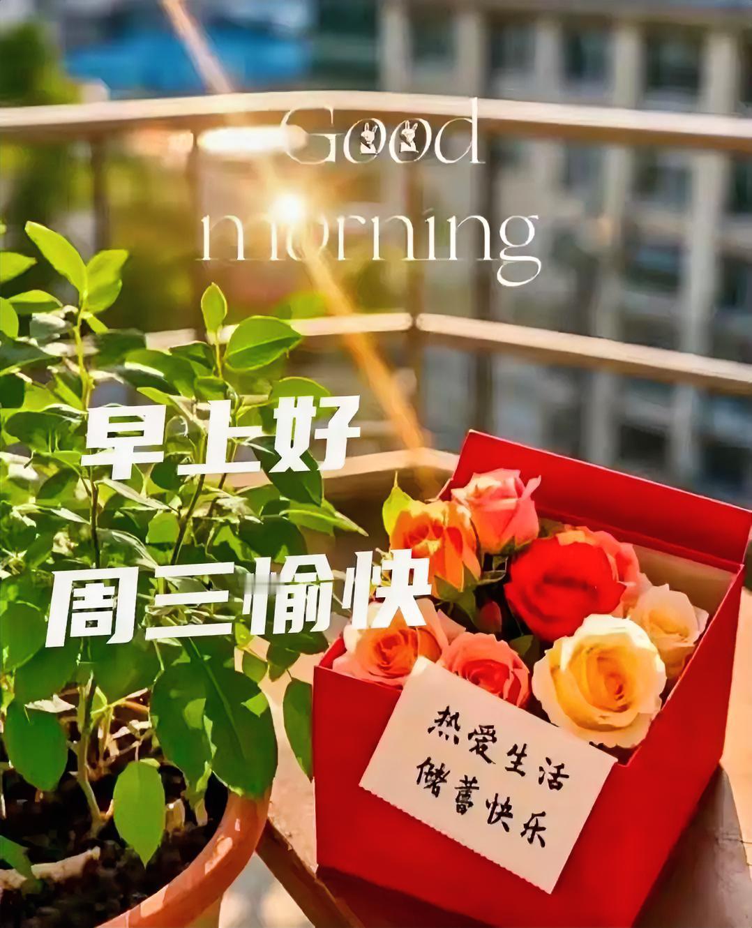 心怀美好，储蓄快乐，周三愉快，早上好！
秋日生活打卡季
分享一张你在新疆拍的照片