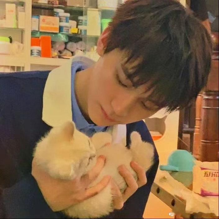 周翊然是猫塑还是狗塑 猫系清冷矜贵自带疏离，狗系阳光元气满眼温柔，颜值在线气质多