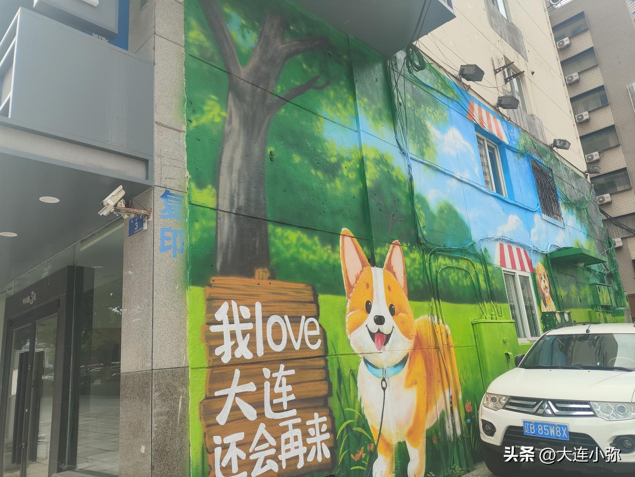 转角遇见萌宠！大连708路中山广场站后身老墙上新萌宠彩绘！
708路中山广场站后