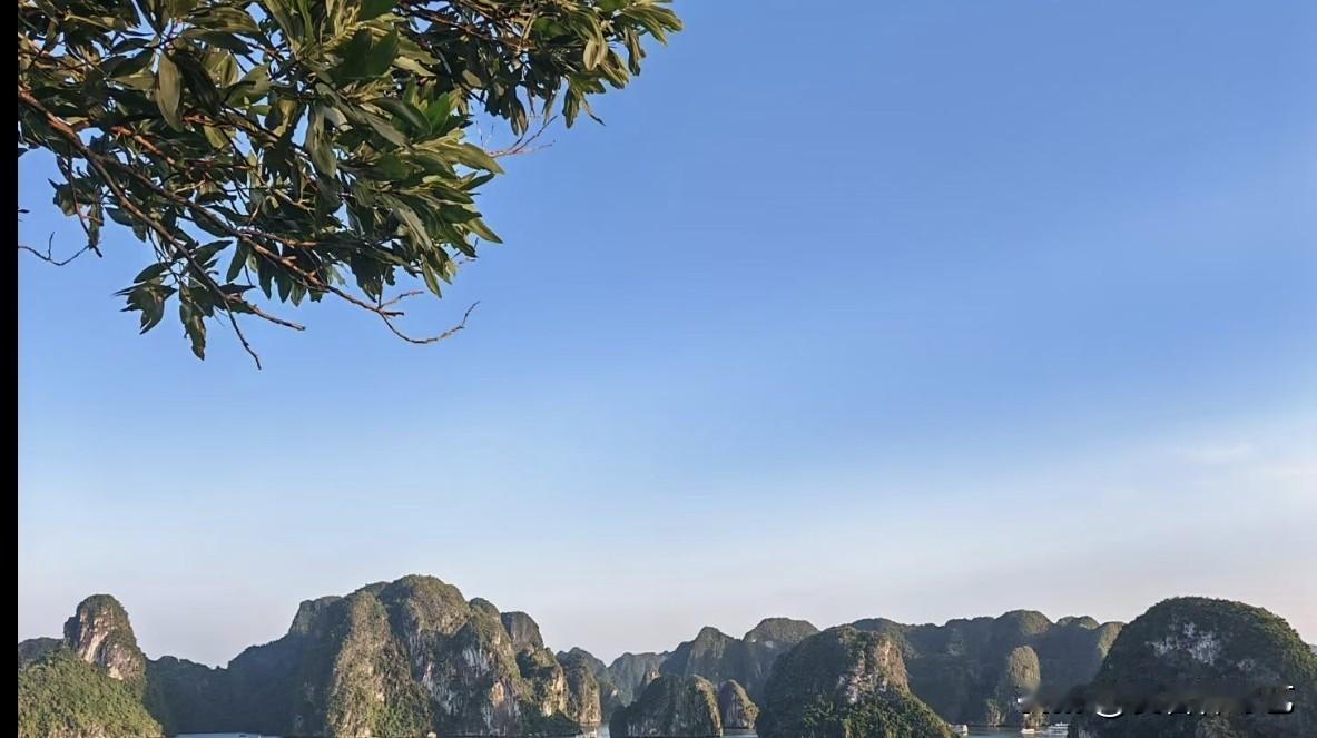 晒图笔记大赛枝叶从画面一角垂落，澄澈蓝天铺展眼前。喀斯特峰林矗立海面，青山叠翠，