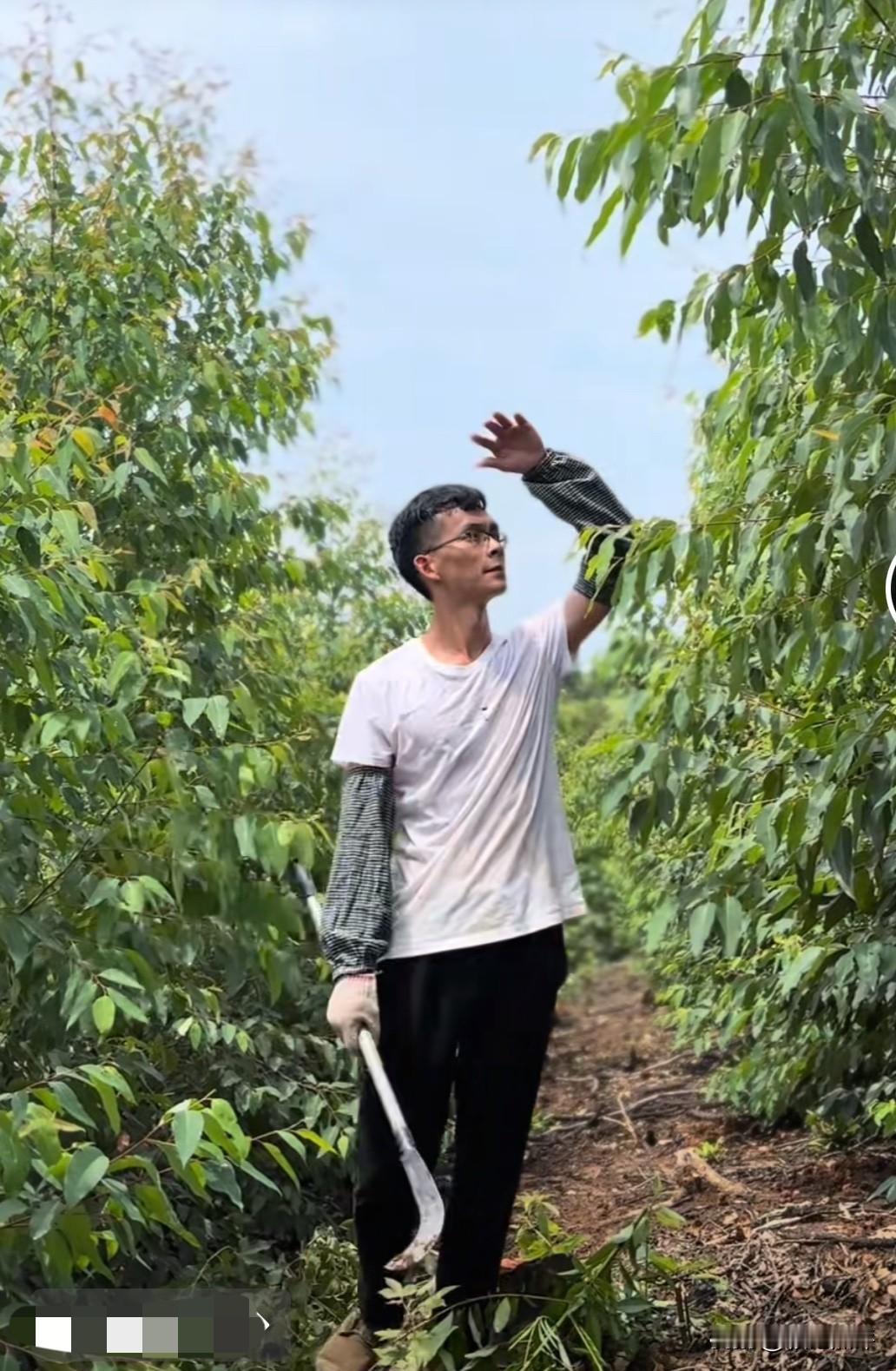 唐尚珺即便是放假也没闲着，雨刚停，他就立马忙活起农活来。

他在更新的视频里说到