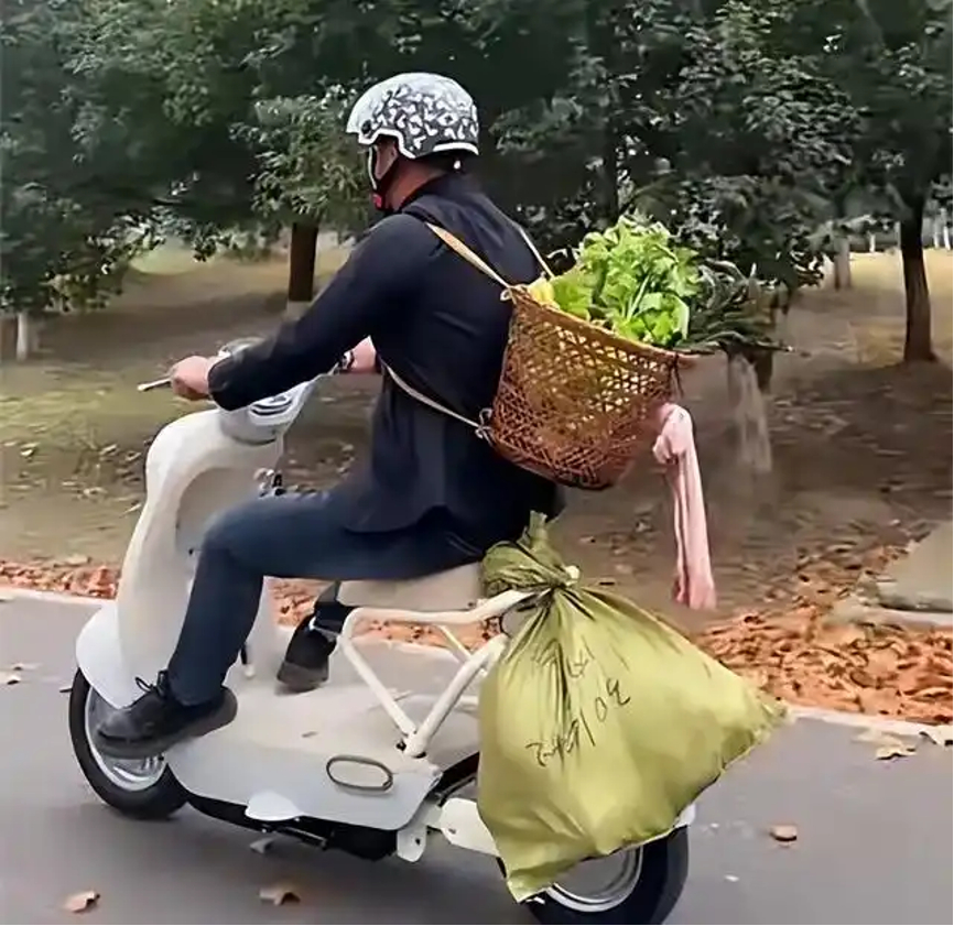 电动车新国标被骂上热搜，这来惩罚家长的吧限速25km/h、接娃难、爬坡累、续航虚