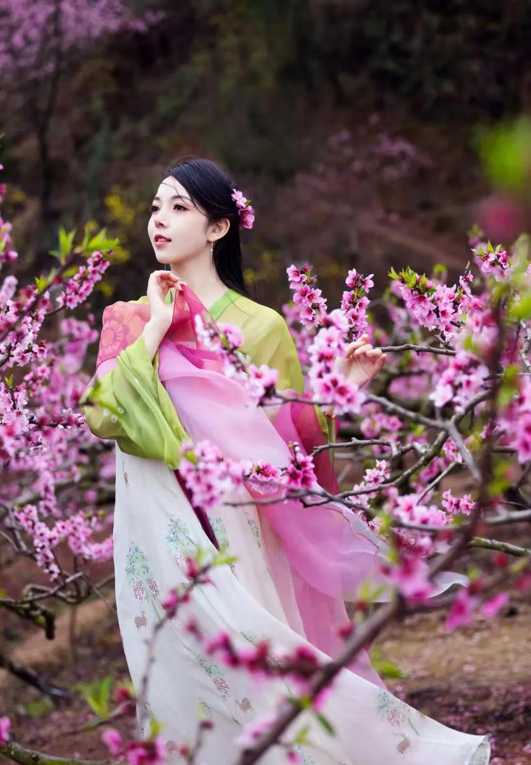 『佳人美景』花间一壶酒，独酌无相亲。#美人的情思# #醉美花之恋🌸# #美人似