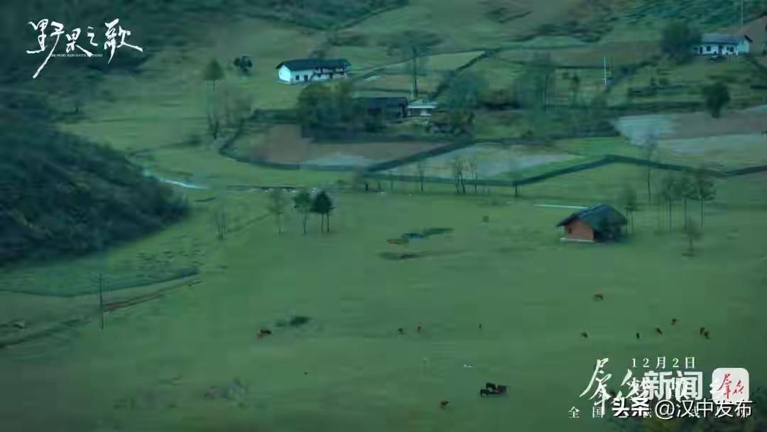 这部由汉中人导演的电影将全国公映

随着都市节奏的加快，越来越多的人在外漂泊，心