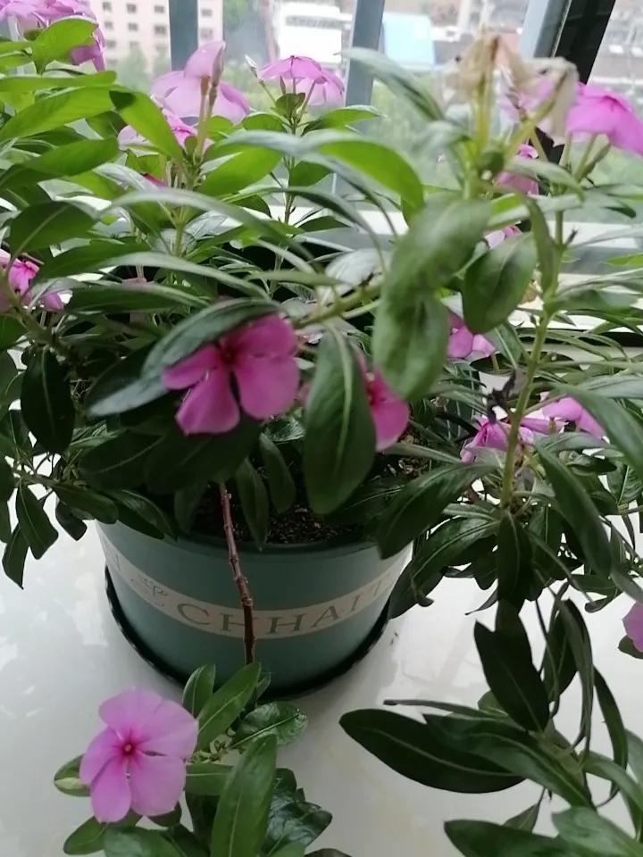我还是在意的阅读量和收益的。
我认为写头条的人，大部分都是为了收益来的，仅小部分