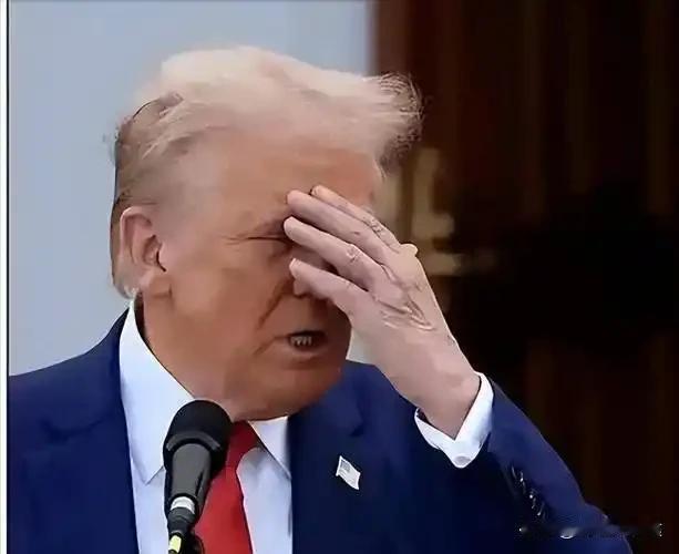 特朗普违法了吗？他会被赶下台吗？

美国联邦巡回上诉法院于2025年8月29日裁