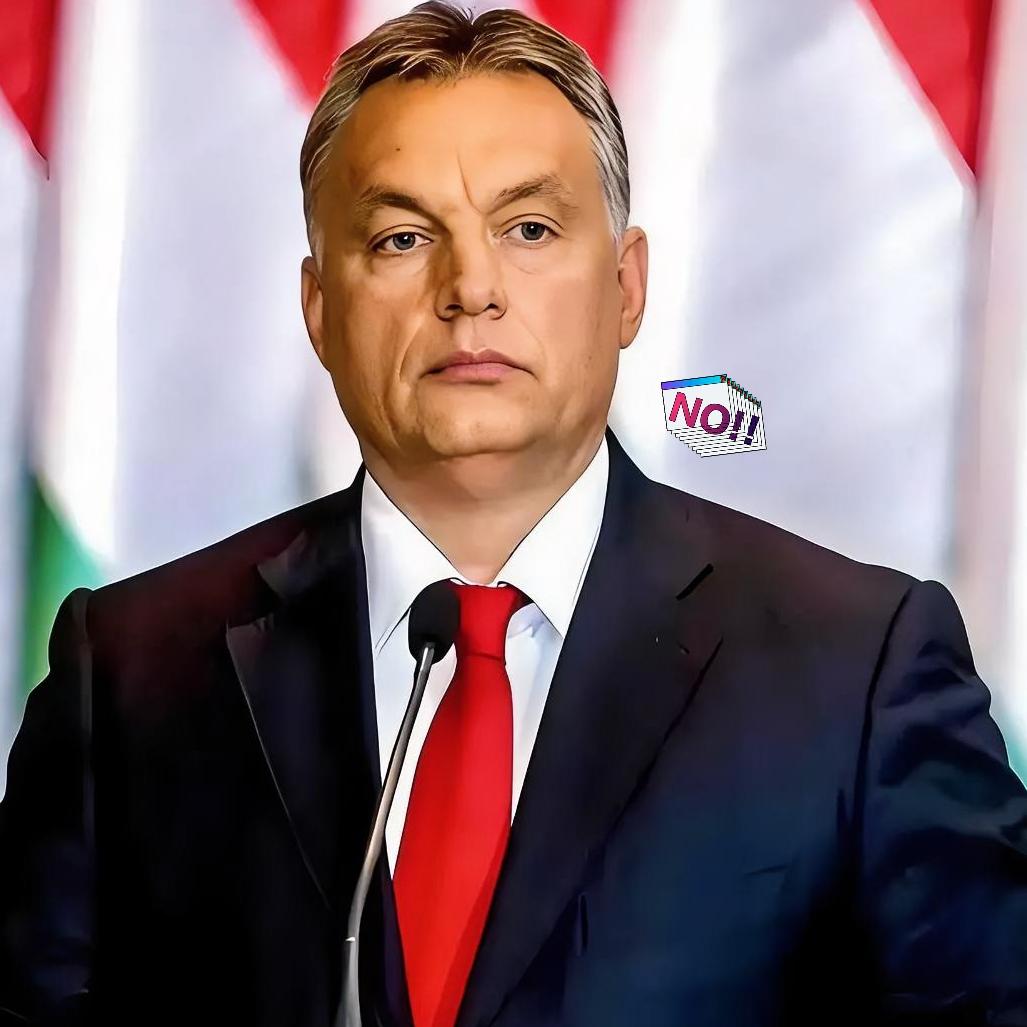 长协签到2036年！
欧盟一句话作废，匈牙利百亿合同打水漂？

欧盟太狠了！24