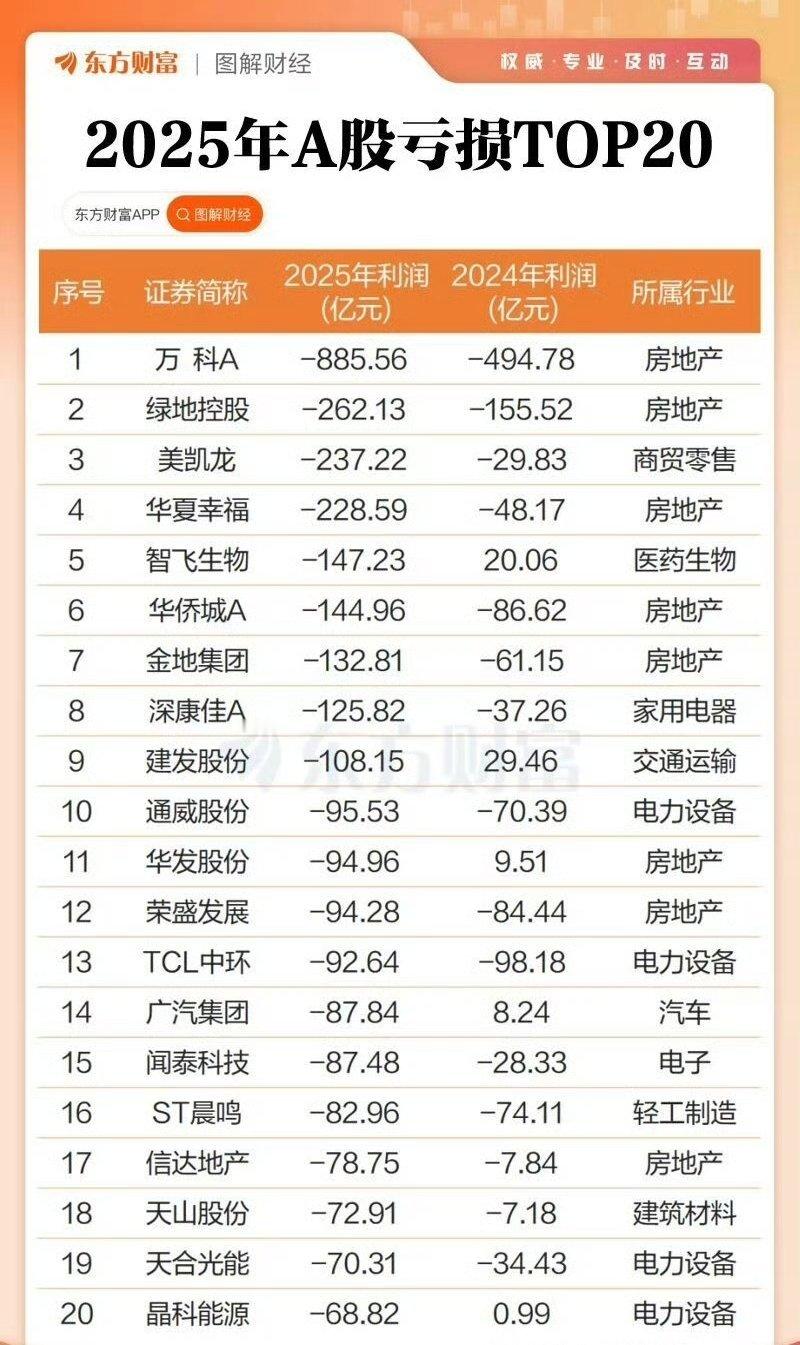 2025年A股亏损TOP20 