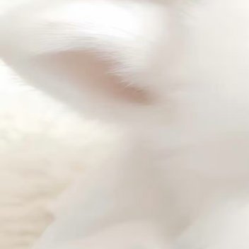 每日一善[超话]每日一善 善是一种美德，人善是一种修养，真善是一种功德，对人要有