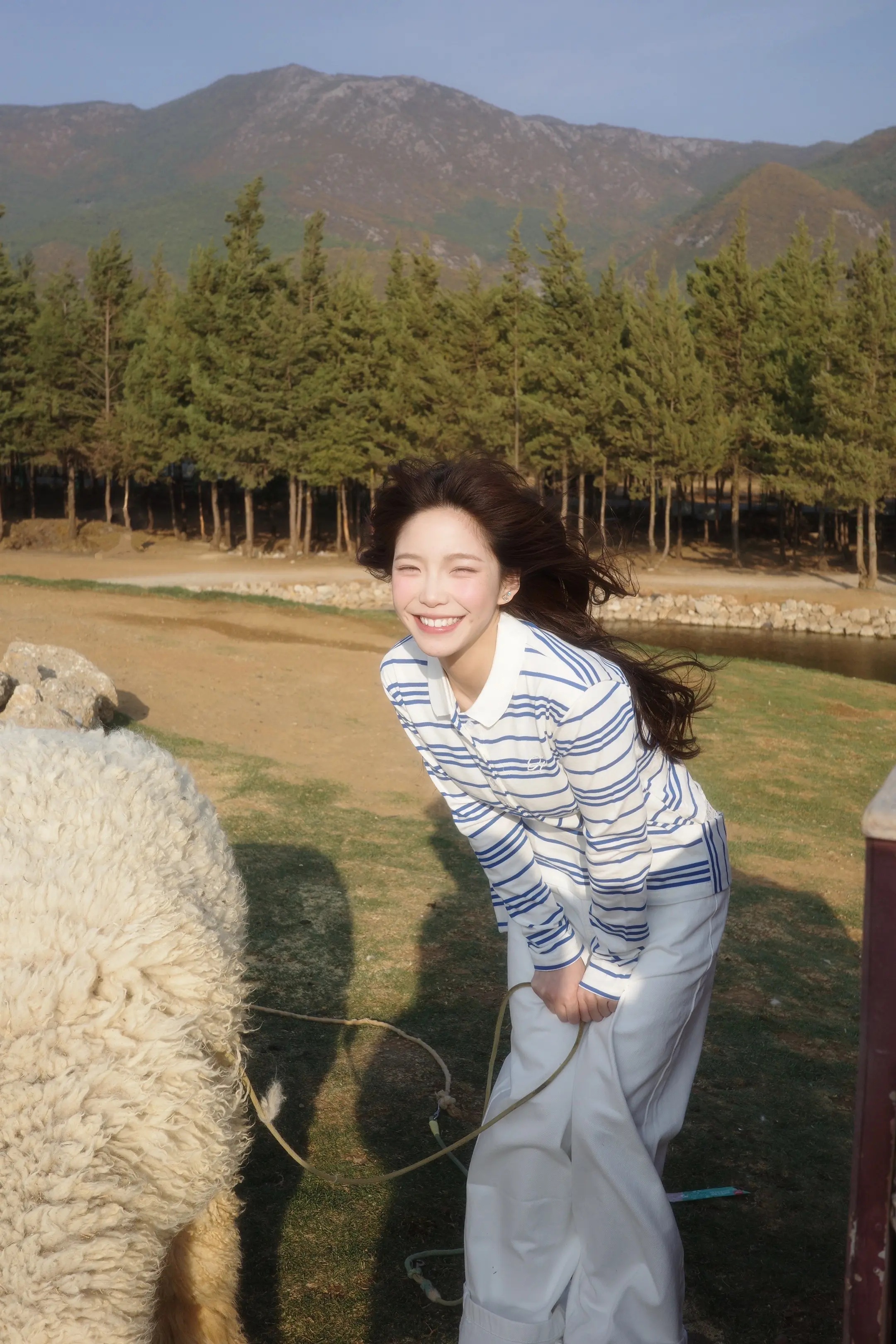 我只是飘零的 渺小的 偶尔哭红眼角的树