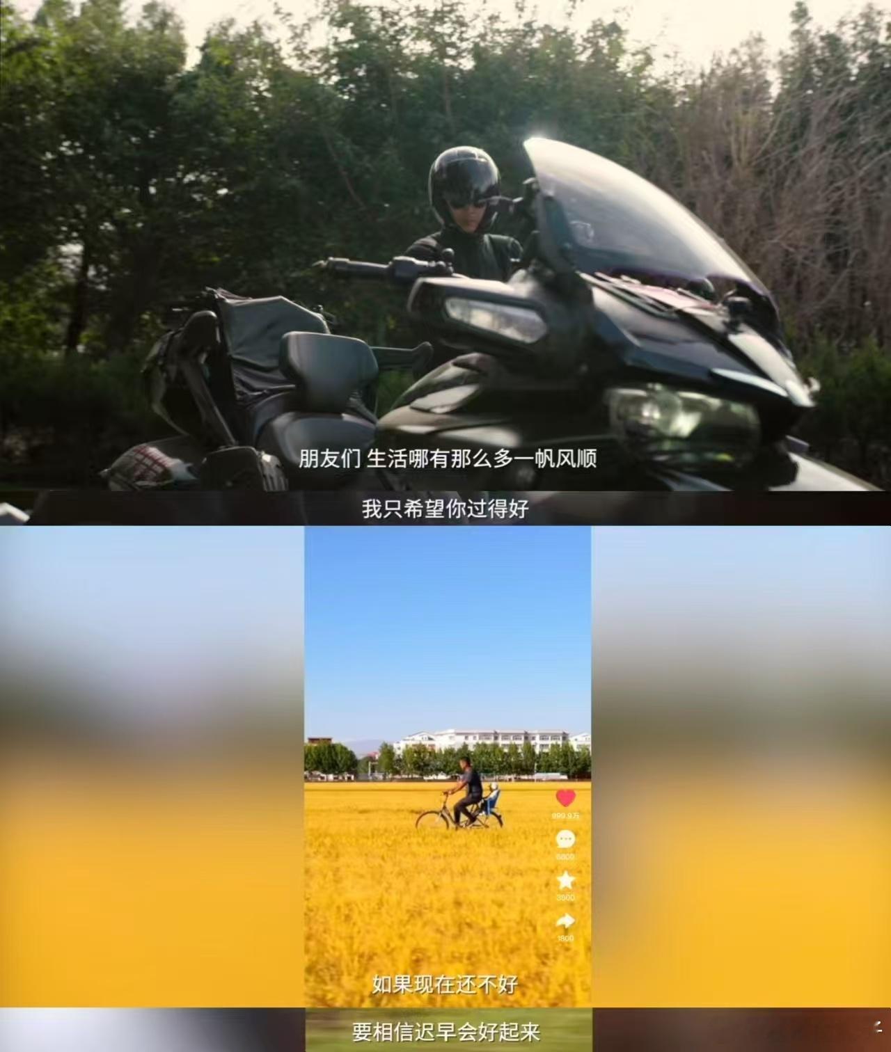 新的一年祝你人生尽兴  请查收来自大冰的新年祝福 累了就躺会儿，醒了就起来再试一