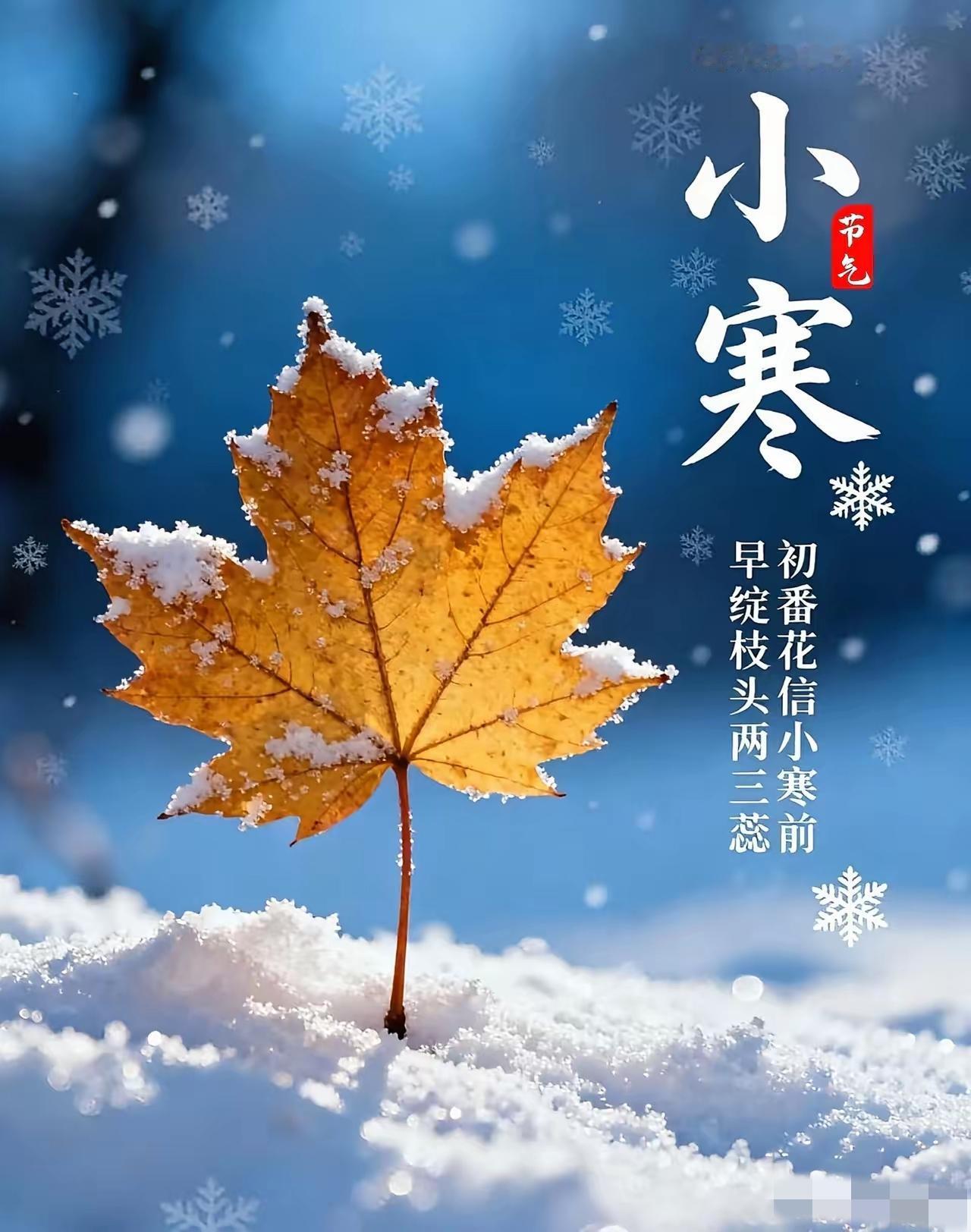 明天就是小寒了，
而小寒最忌讳的就是天暖，
年轻人不懂，老话说得好 “ 小寒一日