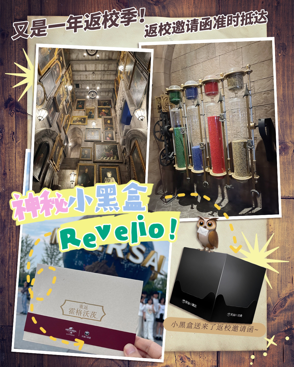 又是一年返校季~每年的9月1日都是魔法世界的大日子。作为獾院学长，我肯定是早早就