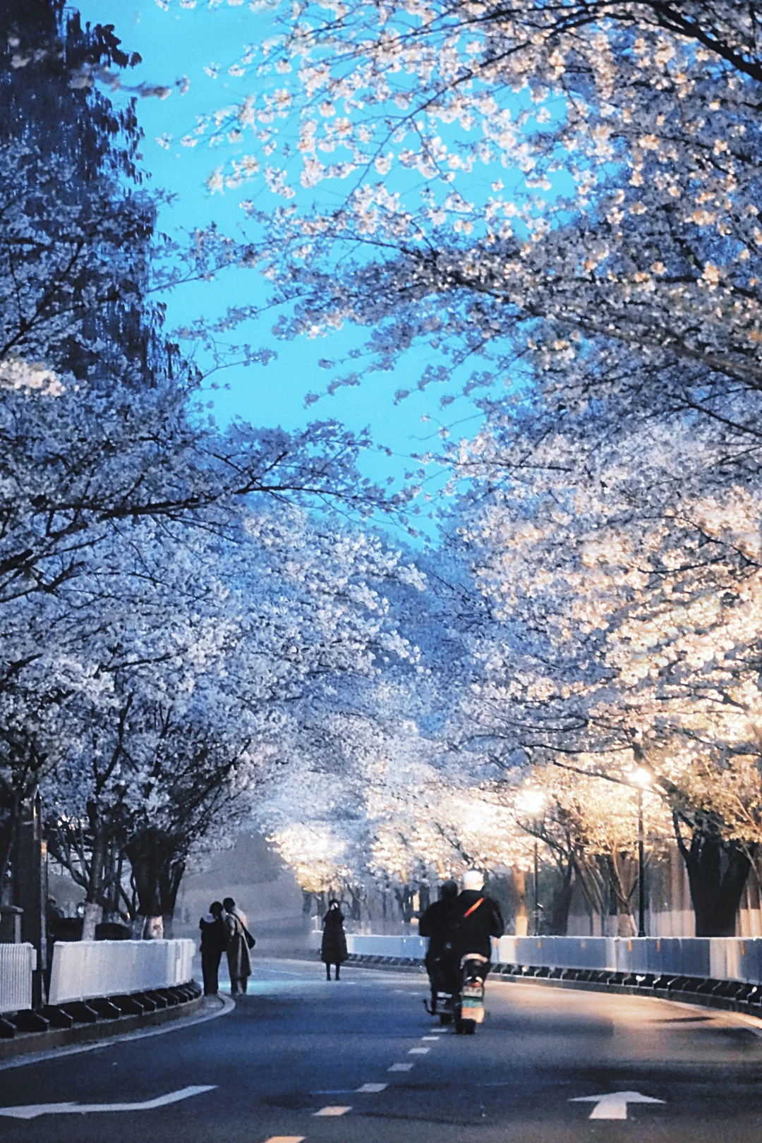 人生旅行必去list，看一场鸡鸣寺夜樱！！