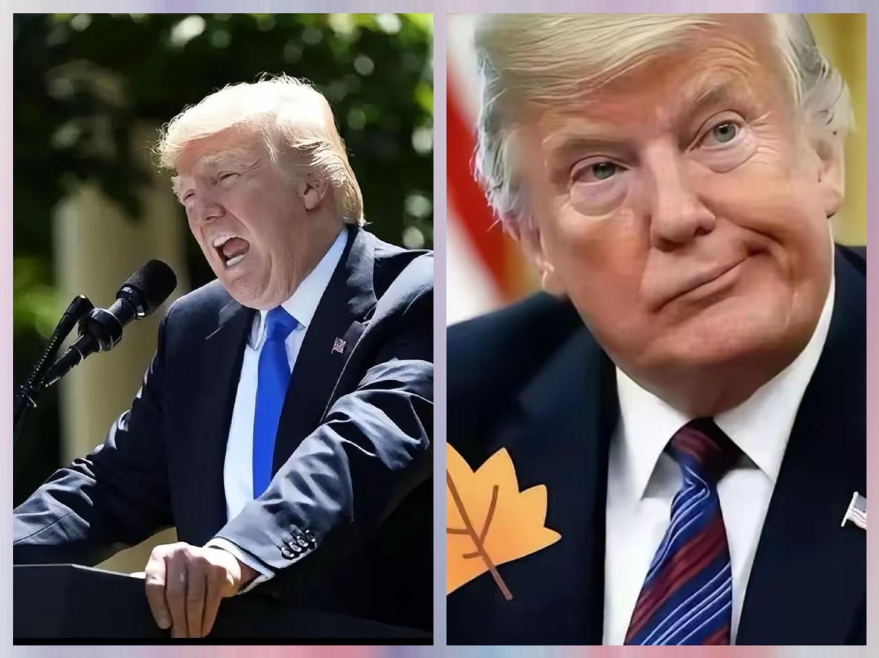 特朗普绝对世界第一牛逼警察，
纯属见不得别国好！
中加敲定电动汽车和油菜籽的互利