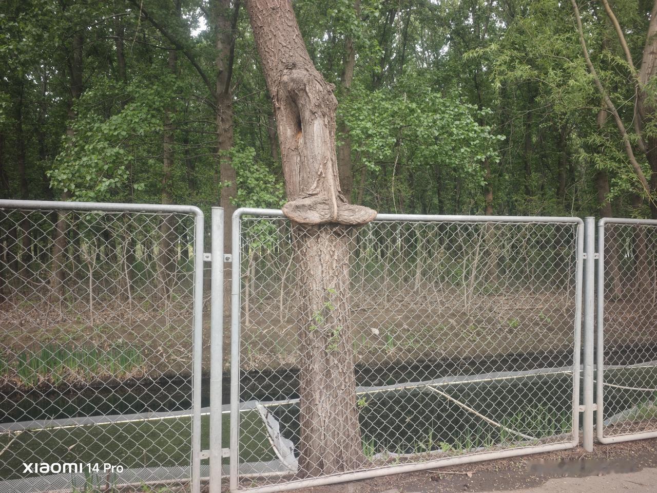 我也撸个铁，或者撸个串