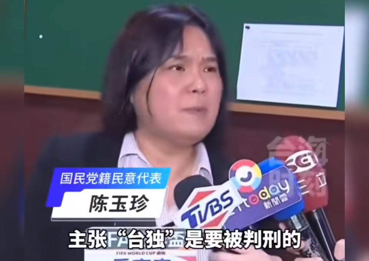 台湾国民党籍民代陈玉珍怒批民进党：很久以前主张“台独”是要被判刑的，而现在反过来