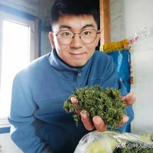 种人参的小石