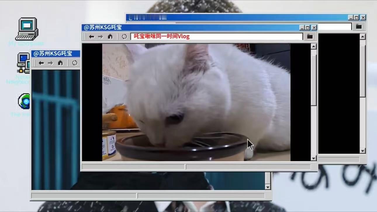 吒宝和小猫同时间线VLOG啾咪：是的，ee们多关注我跟爹爹 