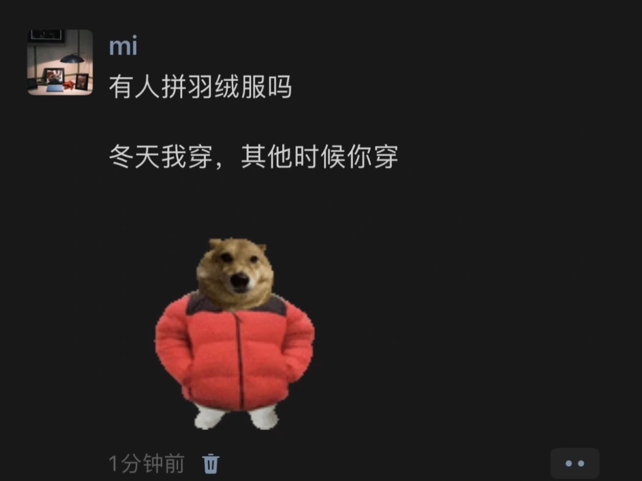 有人拼羽绒服吗