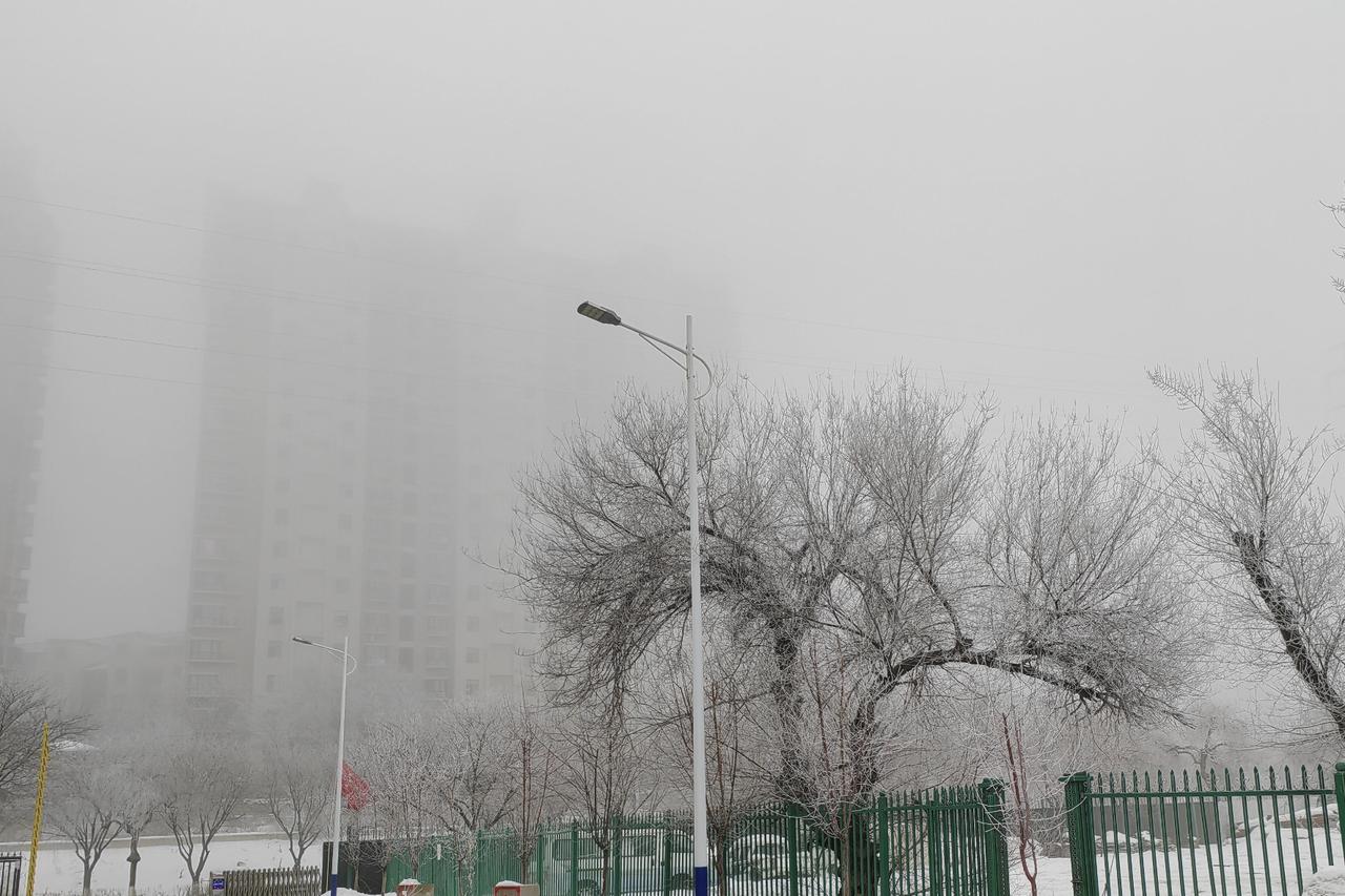 今天乌鲁木齐的雾很大，雾凇也很美，这说明天气确实由寒冬开始向春天过渡。

还好，