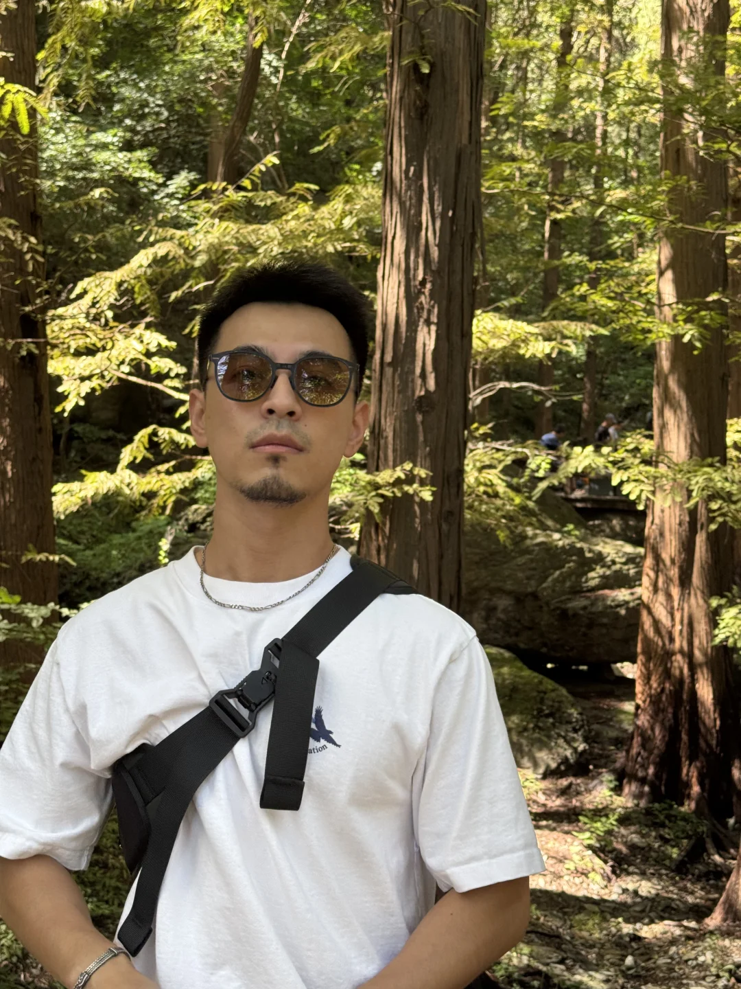 入山入林入自由🌲🌲🌲