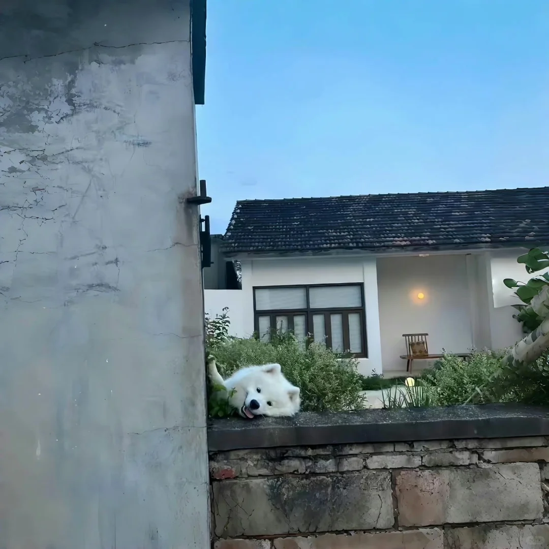 别让生活的压力挤走快乐