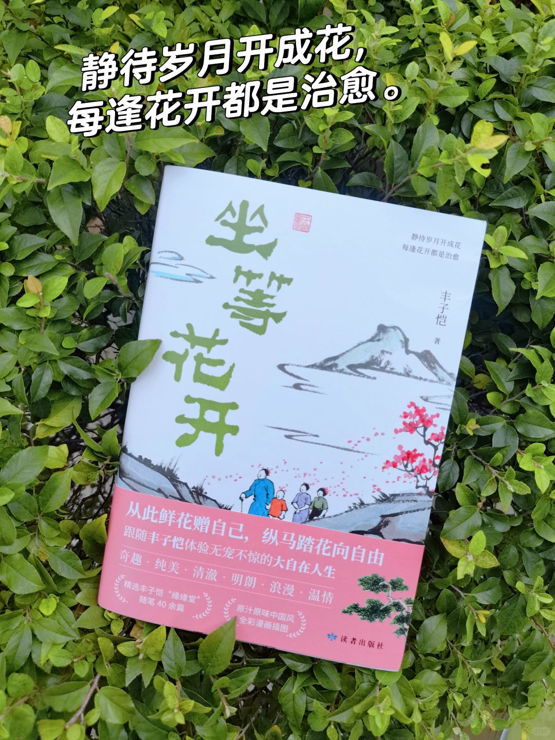 丰子恺，一个能让生活开花的大师