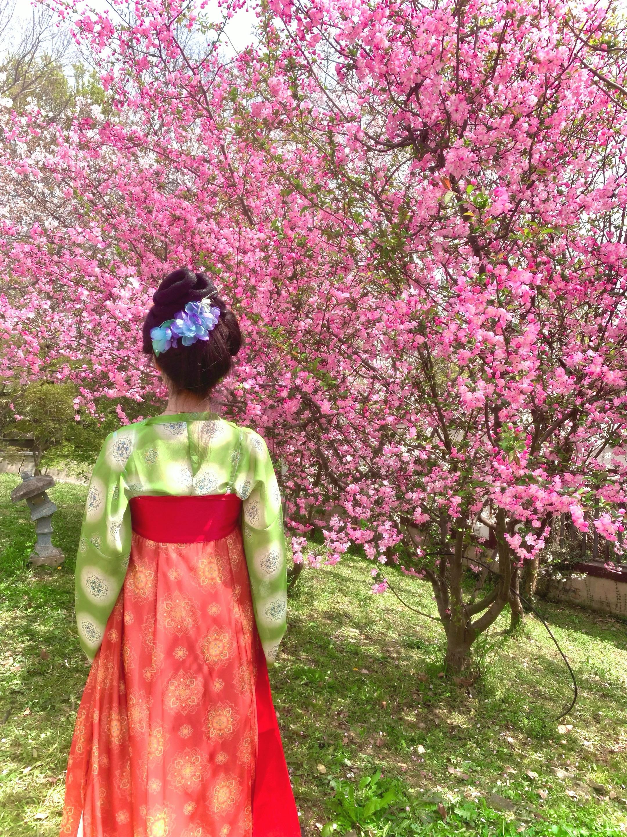 墨已入水 渡一池青花