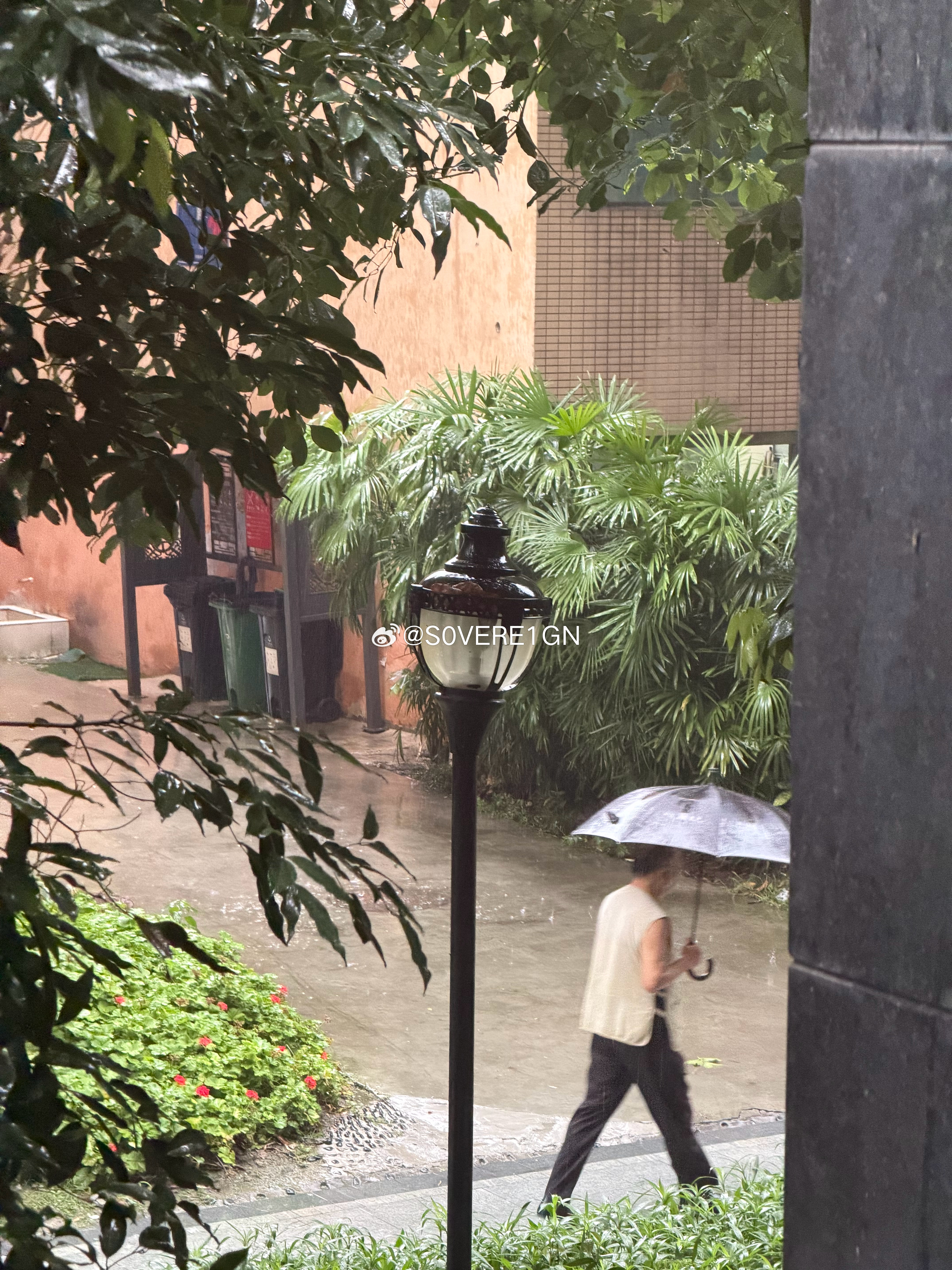 贺涵 贺大哥 雨太大了 我想出去买咖啡 