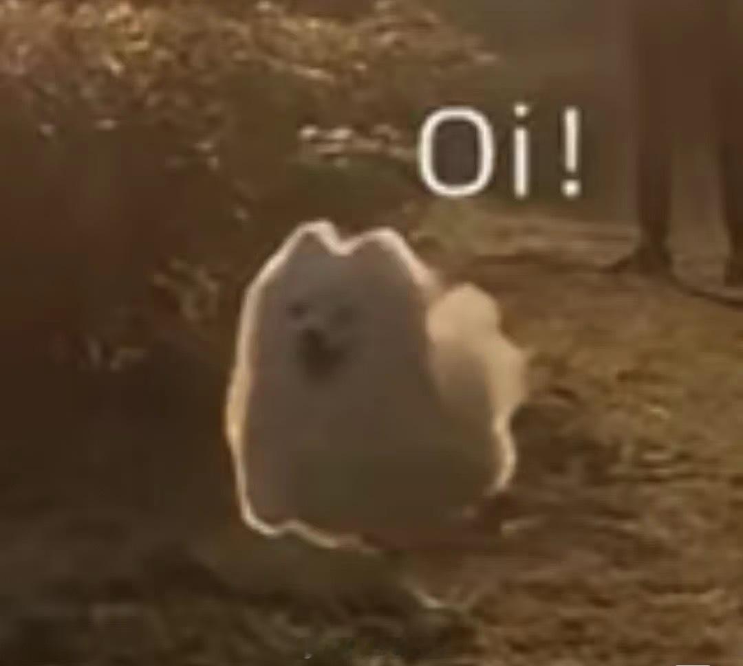 如果一个人长期不工作长期不工作唯一的坏处应该就是钱不够花路路酱早晚安