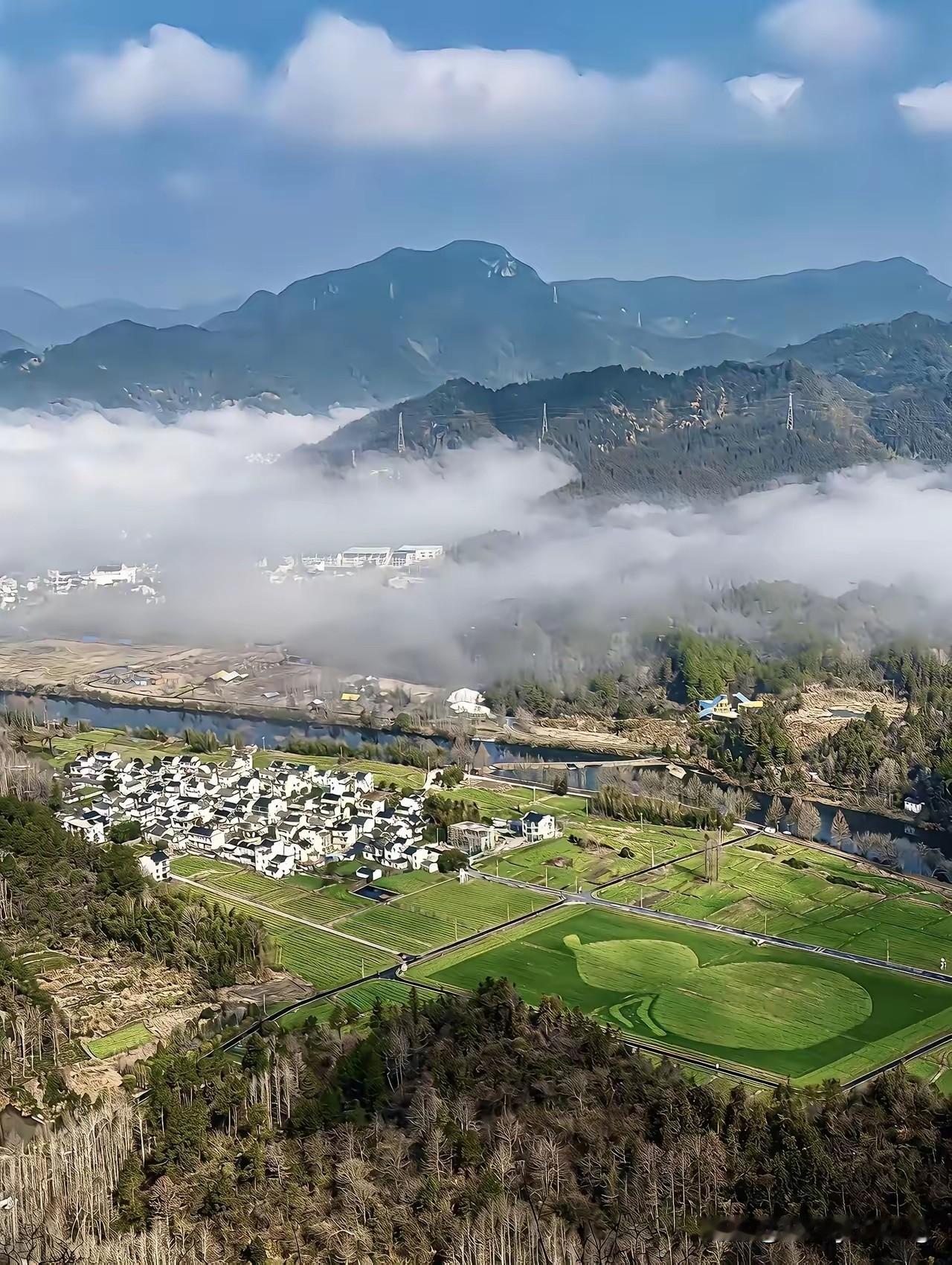 今朝红花吻银露。