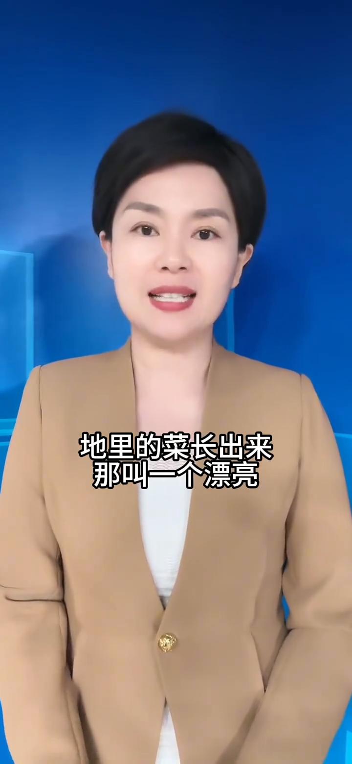 央视曝光毒蔬菜，"毒蔬菜"已流窜到全国多地！
央视曝光毒蔬菜，0.08克便可以致