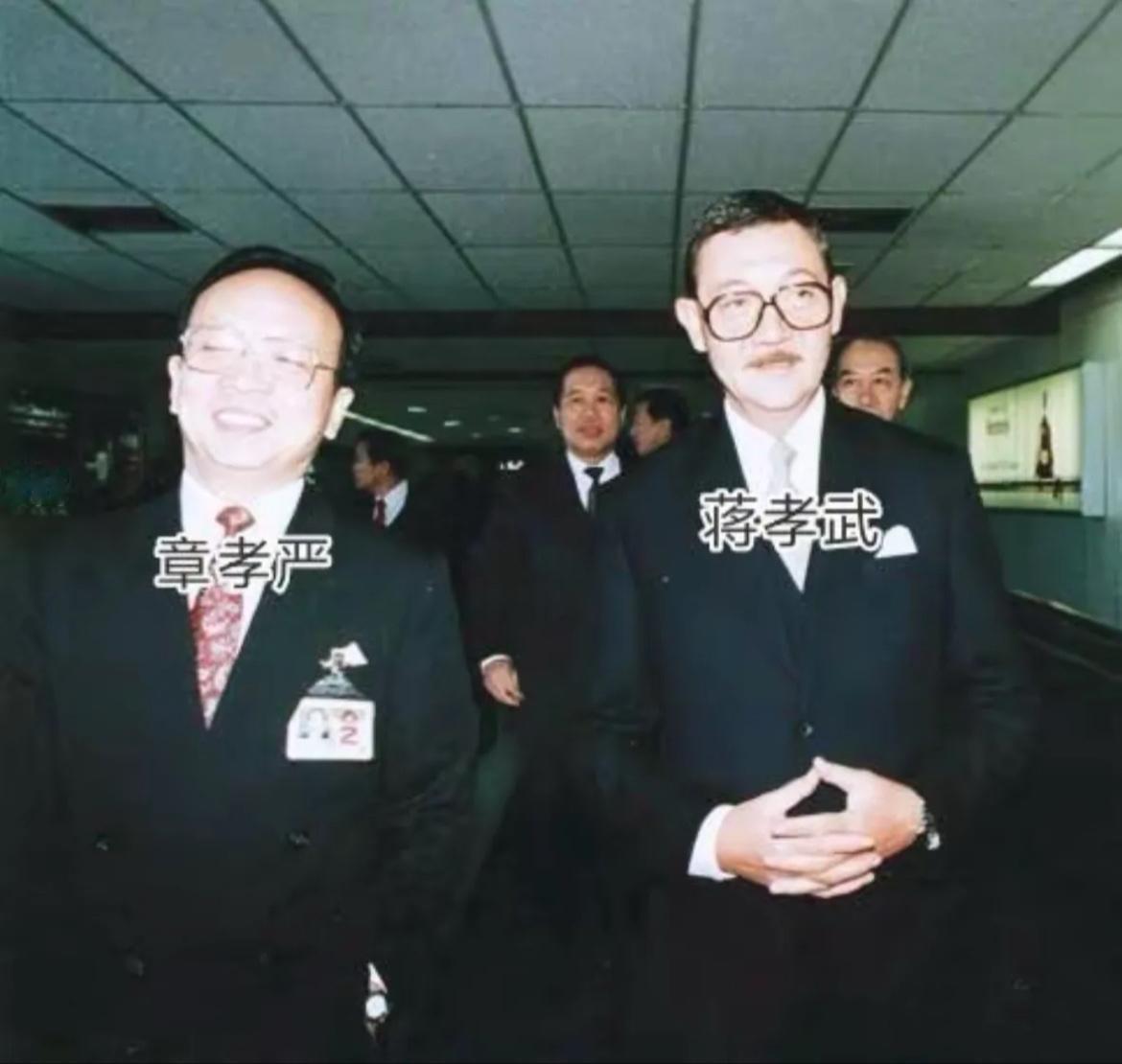 1990年，蒋孝武准备赴日任职，同父异母的哥哥蒋孝严到机场送别时的一幕，早年在军