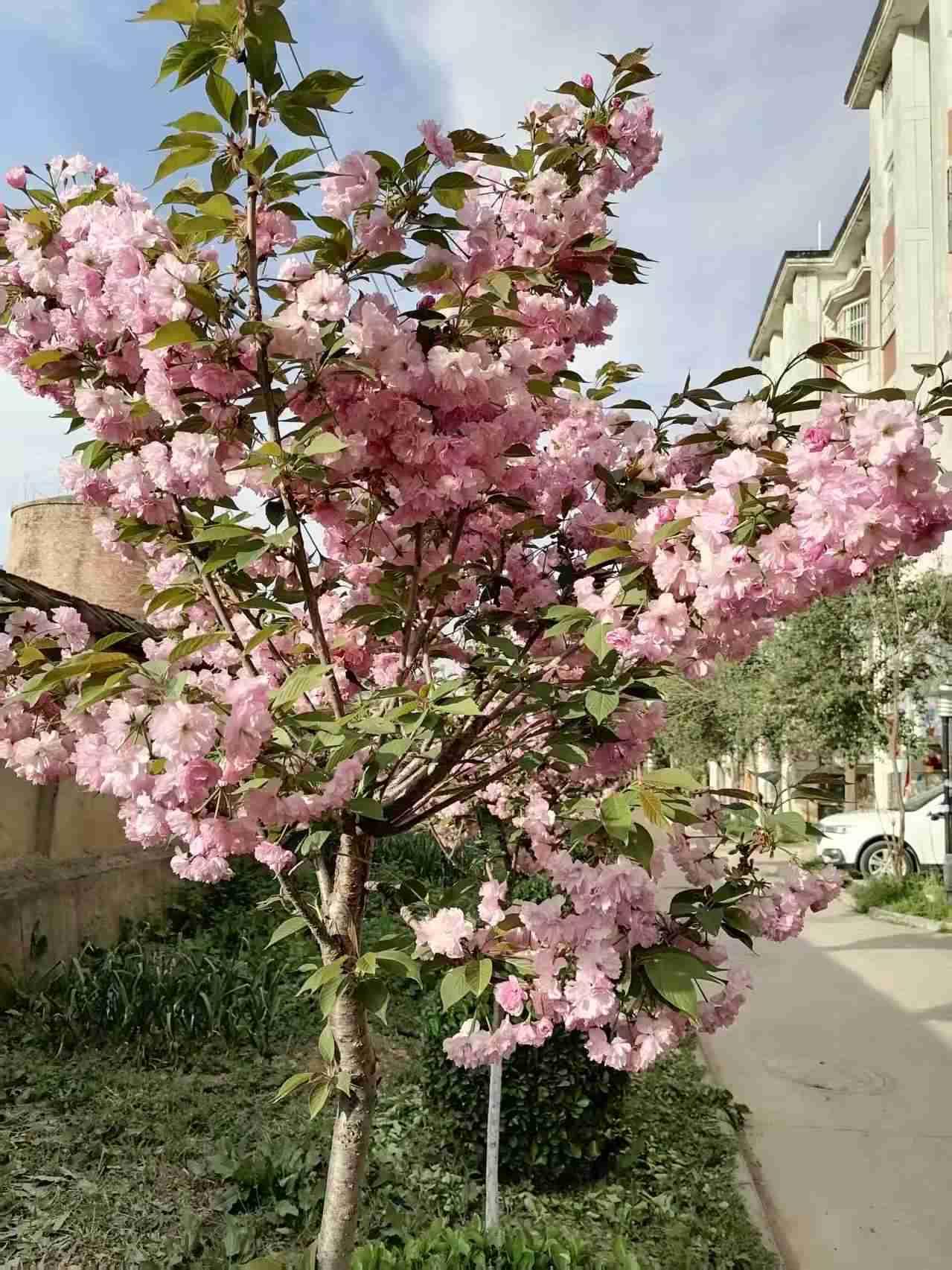 带定位晒今日生活
 又到周末啦，心情轻松愉快得飞起！今天山西这天气，阳光那叫一个