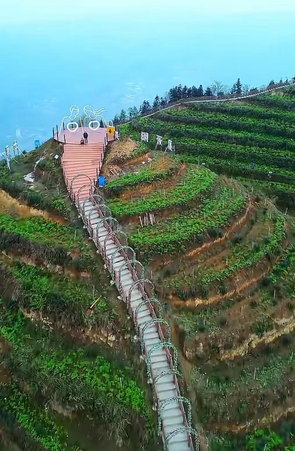 金曲 二创激励计划