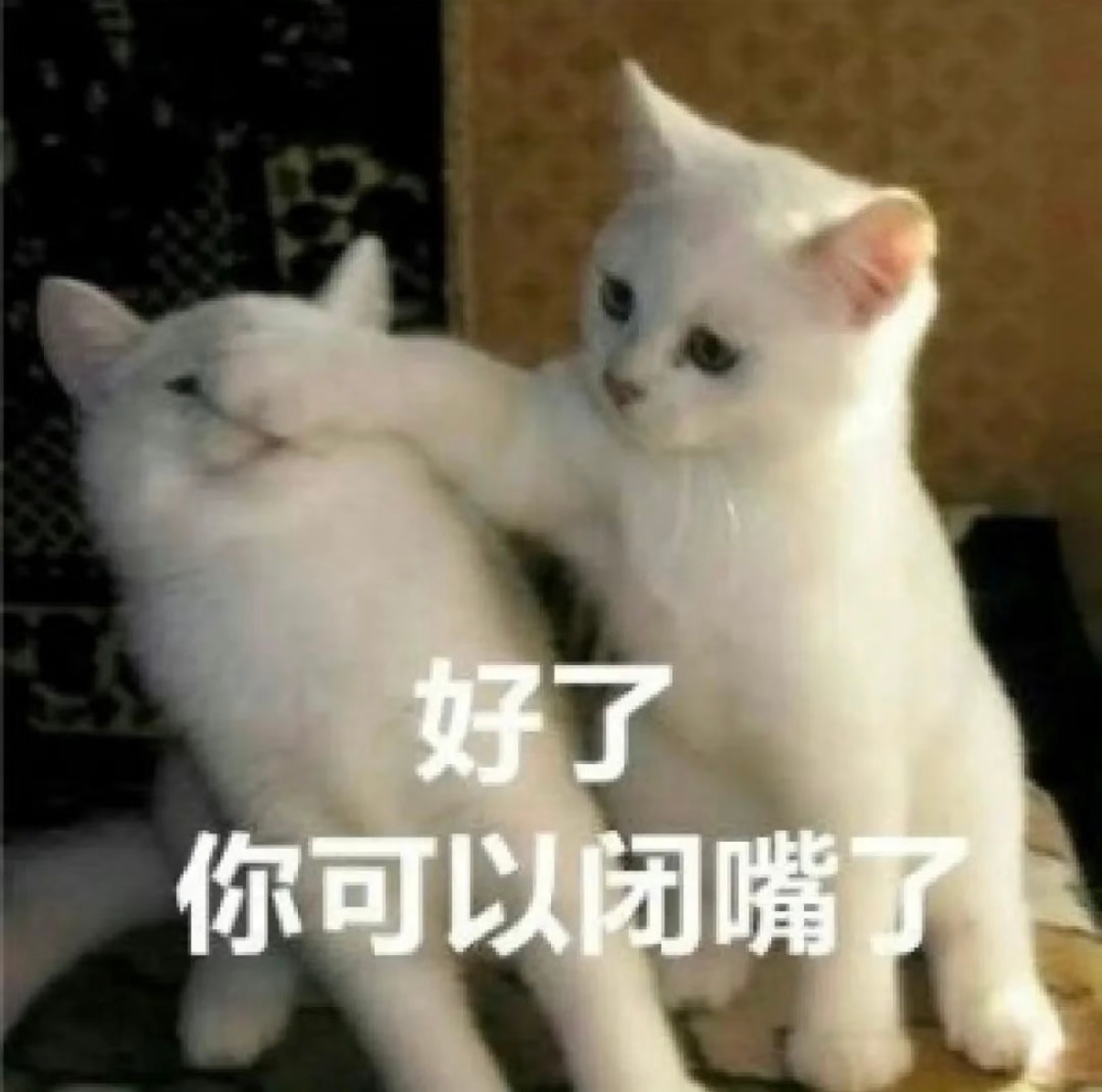 跟我姐妹在回忆一些追星过去正看着以前演唱会物料呢她突然来了一句：SM都不挪用元素