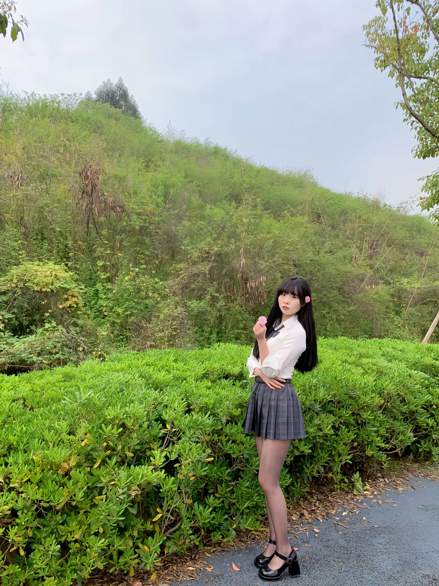 你的痛苦我都添乱生怕你解决