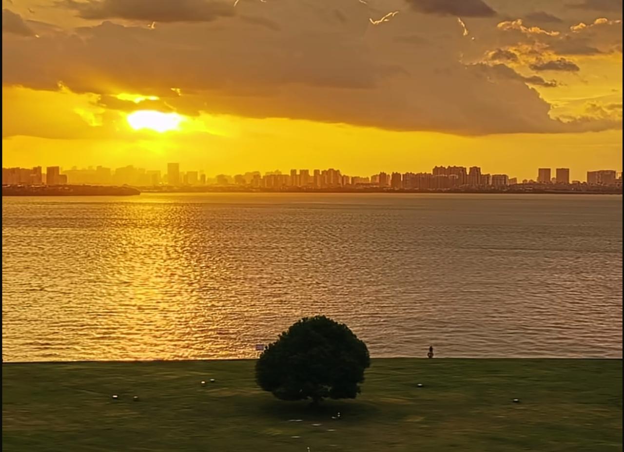 台风"白海豚"来临前苏州独墅湖一棵树营地，"东吴水军"终于休整了。
笑死，平时在