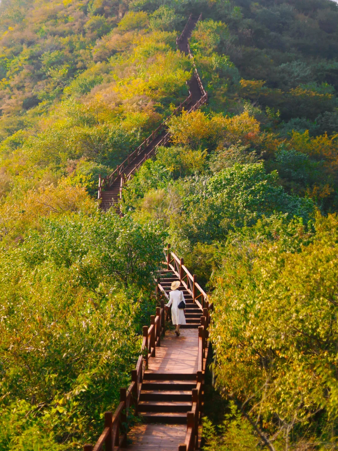 北京秋天🍂被忽略的云端步道，1h可达，附攻略