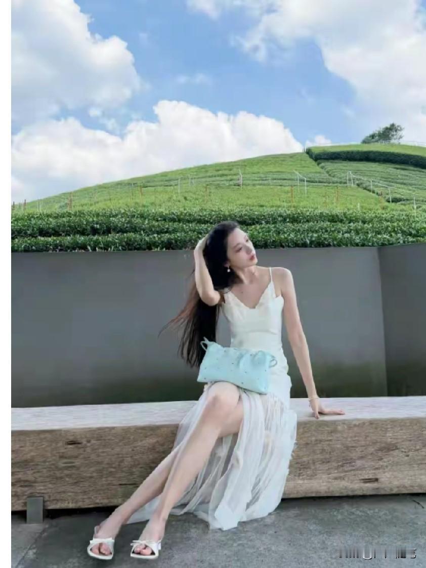 这茶园里的茶叶得值不少钱。